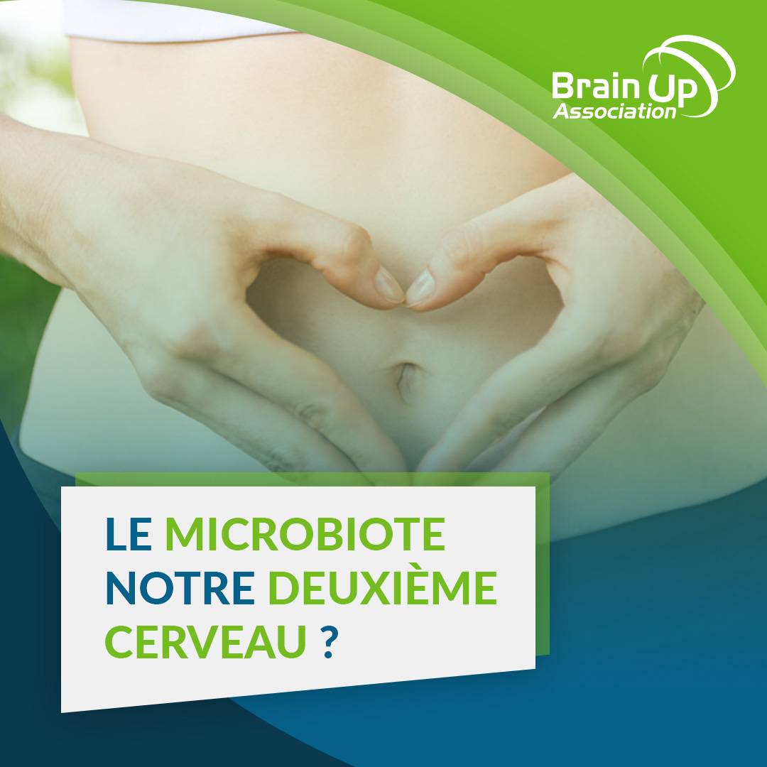 Le microbiote, notre deuxième cerveau ?